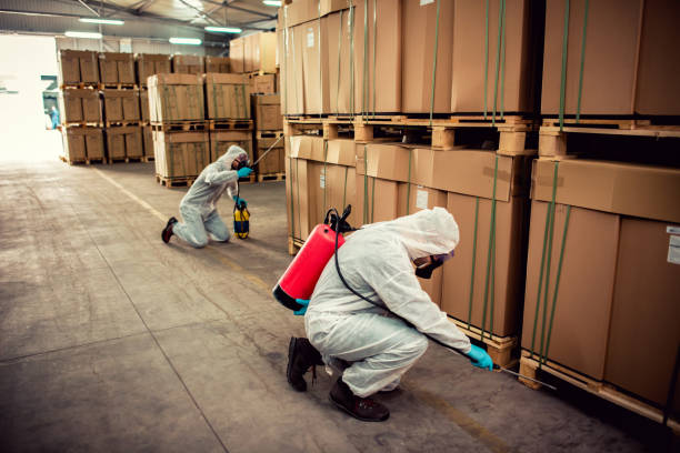 Best Pest Control Near Me in Wellsville, KS