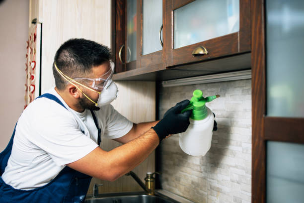 Best Termite Control Services  in Wellsville, KS
