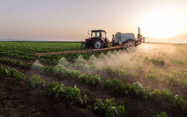 Best Best Pest Control Companies  in Wellsville, KS