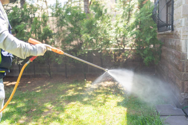 Best Pest Removal Services  in Wellsville, KS