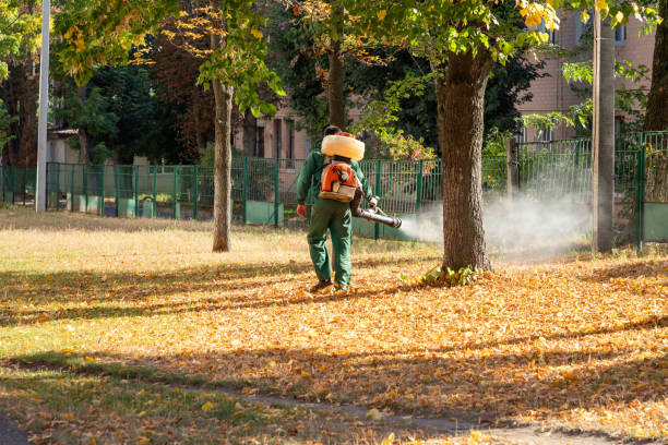 Best Flea Control Services  in Wellsville, KS