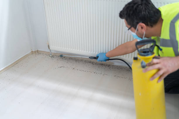 Pest Control Cost in Wellsville, KS